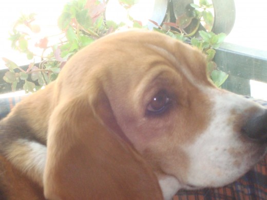 uu mi hermoosiisiima bonie bonie la amooO!! haahaha!! >.< uu mi hermoosiisiima bonie bonie la amooO!! haahaha!! >.<